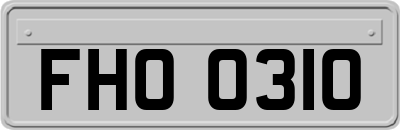 FHO0310