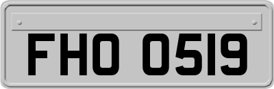 FHO0519