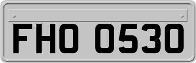 FHO0530