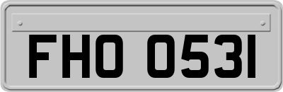 FHO0531