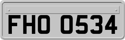 FHO0534