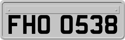 FHO0538