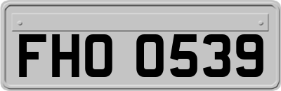 FHO0539