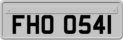 FHO0541