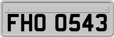FHO0543