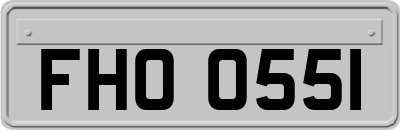 FHO0551