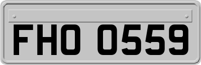 FHO0559