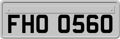 FHO0560