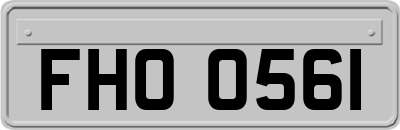 FHO0561