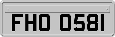 FHO0581