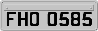 FHO0585