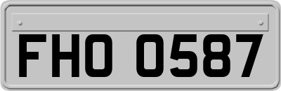 FHO0587