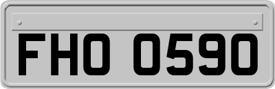 FHO0590