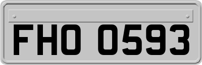 FHO0593