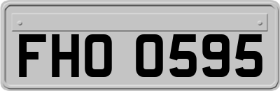 FHO0595