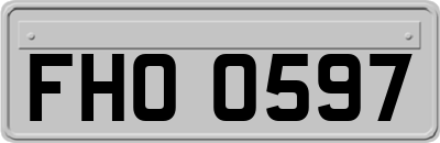 FHO0597