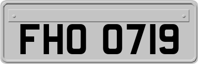 FHO0719
