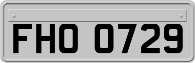 FHO0729