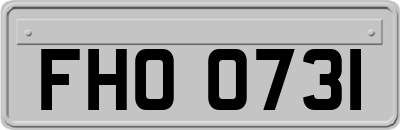FHO0731