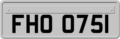 FHO0751