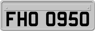 FHO0950