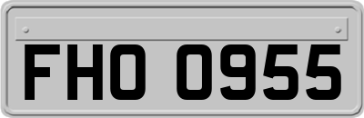FHO0955
