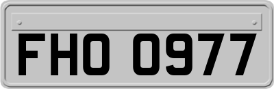 FHO0977