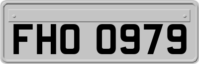FHO0979