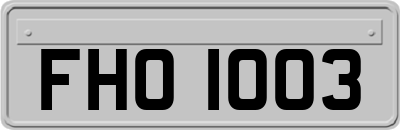 FHO1003