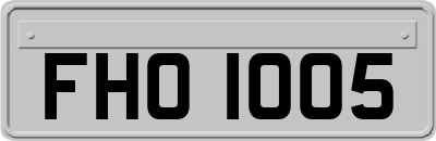FHO1005