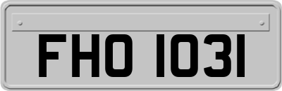 FHO1031