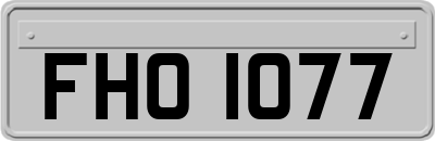 FHO1077