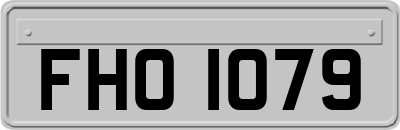 FHO1079