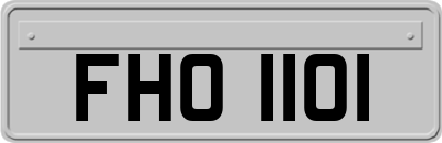 FHO1101
