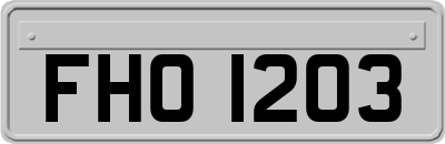 FHO1203