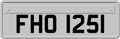 FHO1251