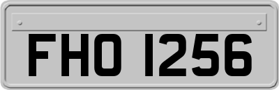 FHO1256