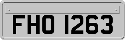 FHO1263