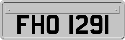 FHO1291