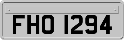FHO1294