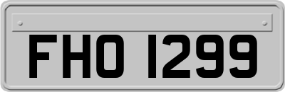 FHO1299
