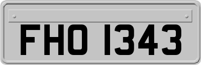 FHO1343
