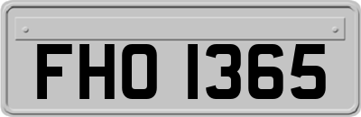 FHO1365