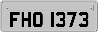 FHO1373