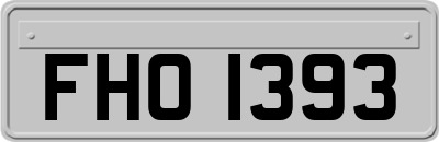 FHO1393