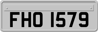 FHO1579