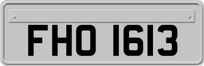 FHO1613