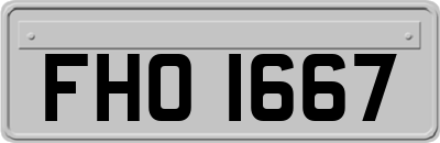 FHO1667