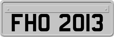 FHO2013