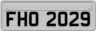 FHO2029